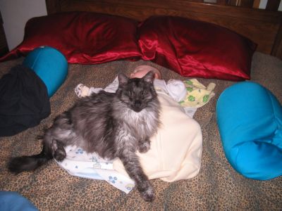 Sleeping with Rumpel